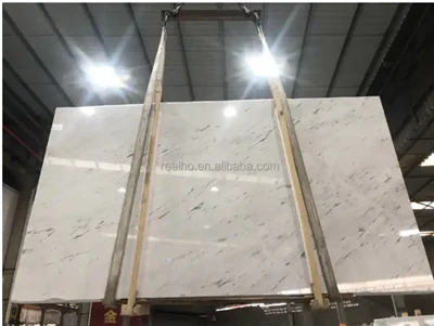 Polaris Bianco witte marmeren plaat